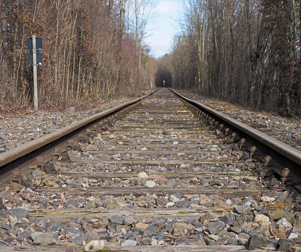 Die seit Jahrzehnten stillgelegte Strecke zwischen Markgröningen und Ludwigsburg.