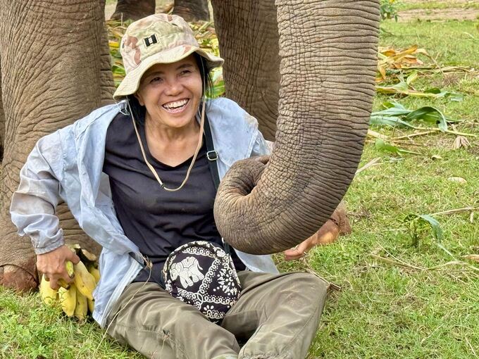 «Elefantenflüsterin» Saengduean «Lek» Chailert «Elefantenflüsterin» Saengduean «Lek» Chailert