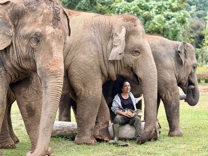 Elefantenflüsterin Saengduean «Lek» Chailert Elefantenflüsterin Saengduean «Lek» Chailert
