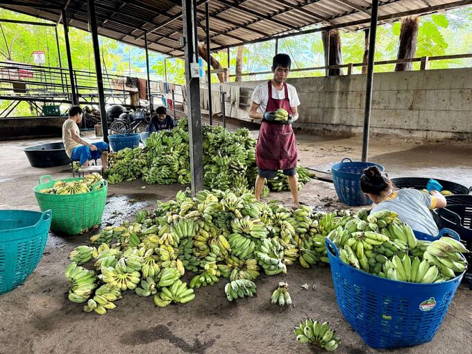 Essensvorbereitungen Essensvorbereitungen