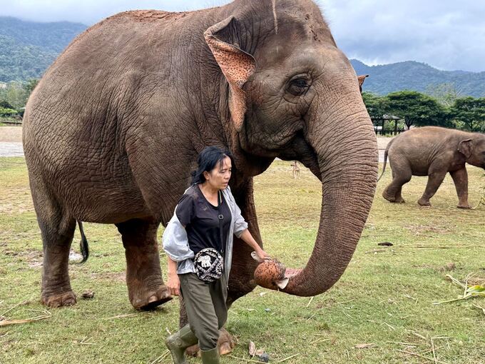 Elefantenflüsterin Saengduean «Lek» Chailert Elefantenflüsterin Saengduean «Lek» Chailert