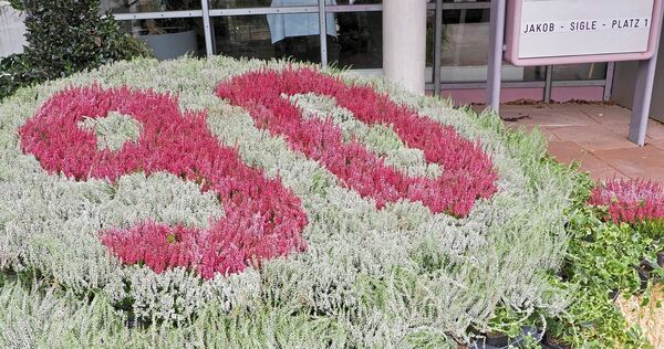 Das Jubiläum wird in einem Blumenbeet angelegt.