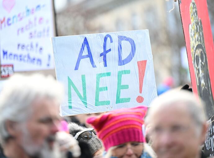AfD-Landesparteitag - Demonstration