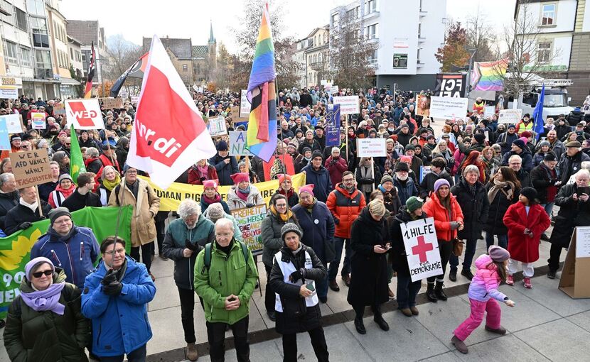 AfD-Landesparteitag - Demonstration
