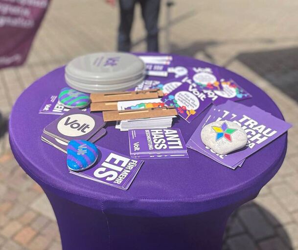 Stand der jungen Europapartei Volt: Im Kreis Ludwigsburg werben ihre Direktkandidaten bis Weihnachten um Unterschriften. Das Ziel: Bei der Landtagswahl im März dabei zu sein.