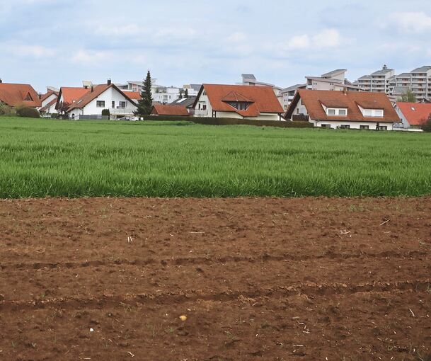 Am südlichen Ortsrand von Hemmingen sollte das umstrittene Baugebiet entstehen.