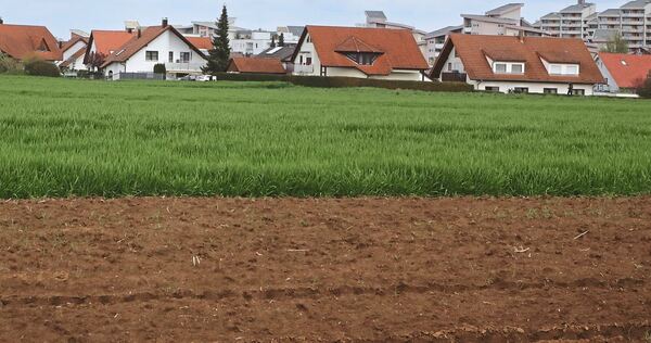 Am südlichen Ortsrand von Hemmingen sollte das umstrittene Baugebiet entstehen.