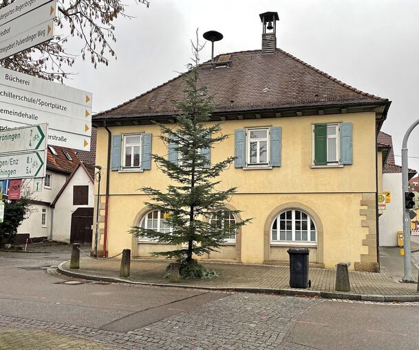 Der viel kritisierte schmale Weihnachtsbaum in der Hochdorfer Ortsdurchfahrt.