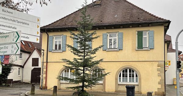 Ist das der traurigste Weihnachtsbaum im Kreis Ludwigsburg?