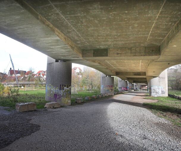 Auf dem Gelände unter der B27 sollte ein Platz für Jugendliche eingerichtet werden. Das Projekt ist jetzt gestorben.