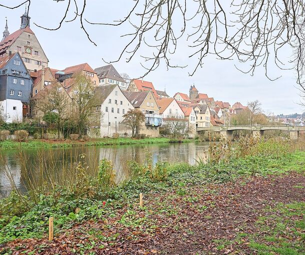 Der Bau des Flößerstegs im nördlichen Enzpark startet voraussichtlich im Frühjahr 2026.