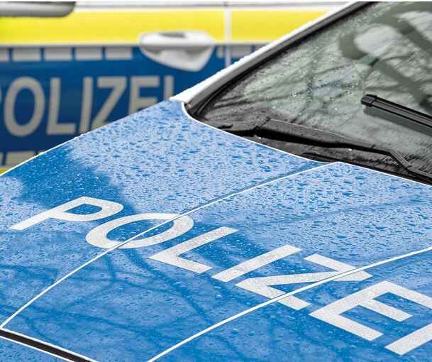 Die Kriminalpolizei Ludwigsburg hat in dem Fall die Ermittlungen übernommen.