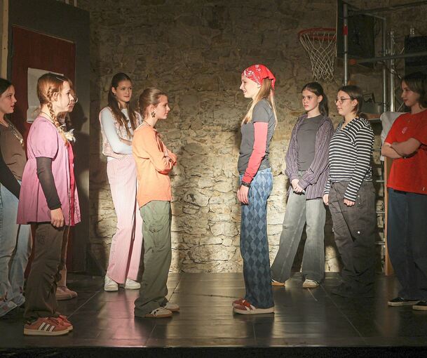 Die wilden Hühner und die Hyänen: Die Mädchenclique und die Jungsbande sind sich noch nicht ganz grün.