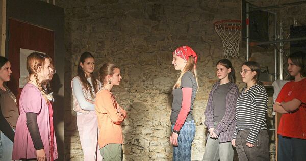 Die wilden Hühner und die Hyänen: Die Mädchenclique und die Jungsbande sind sich noch nicht ganz grün.