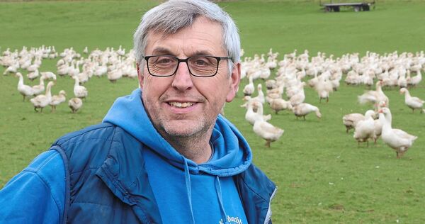 Landwirt Erich Weiberle: „Gänse brauchen die Freilufthaltung, damit sie sich wohlfühlen.“