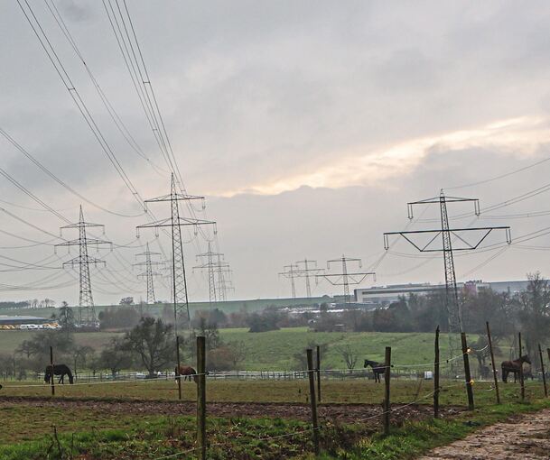 Auch bei Ottmarsheim wird gebaut: Die Leitungen rechts und in der Mitte kommen weg. Dafür errichtet TransnetBW eine neue Leitung - bei Ottmarsheim ungefähr dort, wo bisher die rechte Leitung steht.
