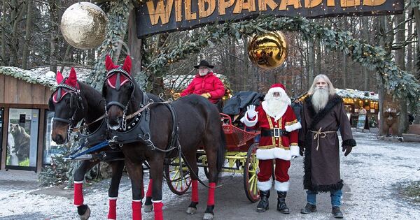 Winter Wonderland Forest opens: Santa Claus is coming to Tripsdrill