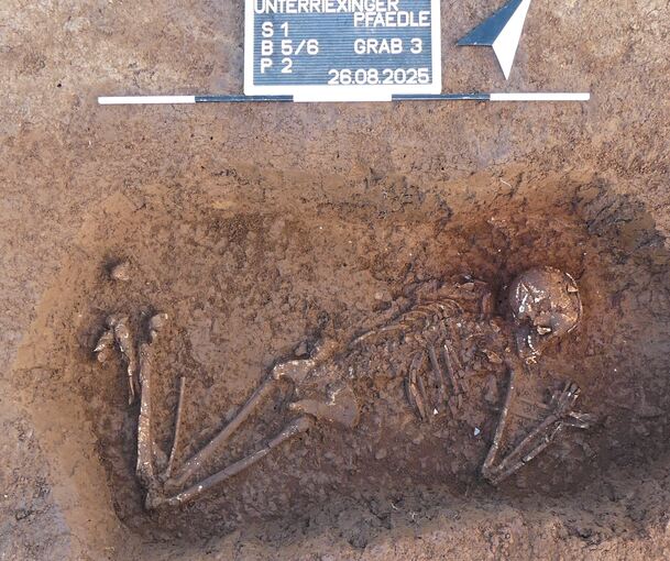Embryohaltung oder ewiger Schlaf? Über 7.000 Jahre alte Hockerbestattung in Sachsenheim.
