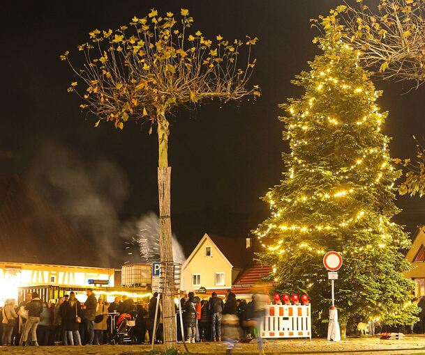 Dank ehrenamtlichen Engagements steht wieder ein Christbaum auf dem Besigheimer Kelterplatz.