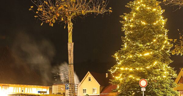 Dank ehrenamtlichen Engagements steht wieder ein Christbaum auf dem Besigheimer Kelterplatz.