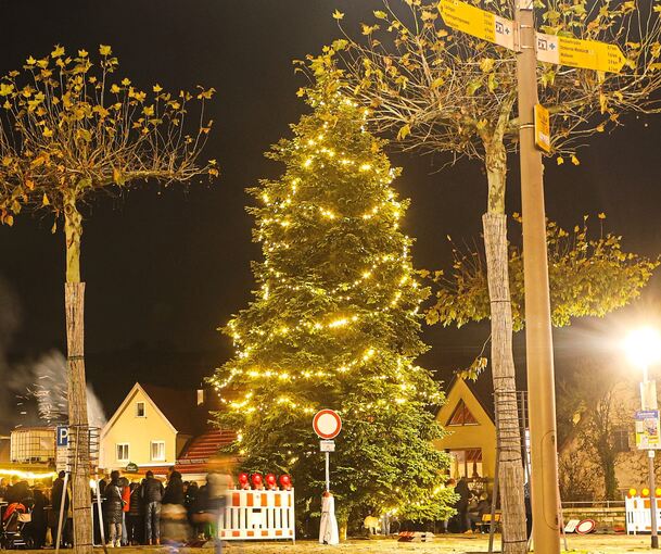 Der Christbaum auf dem Besigheimer Kelterplatz.