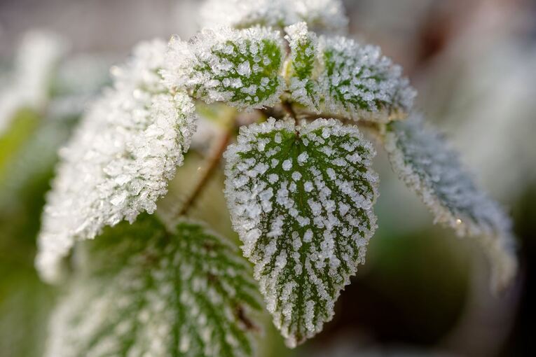 Wetter in Baden-Württemberg Wetter in Baden-Württemberg