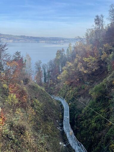 Panoramasteg in der Marienschlucht am Bodensee