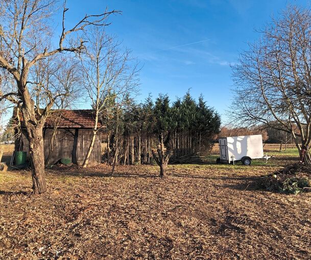 Auf der neuen Hundefreilaufwiese befindet sich neben Bäumen sogar eine kleine Hütte.