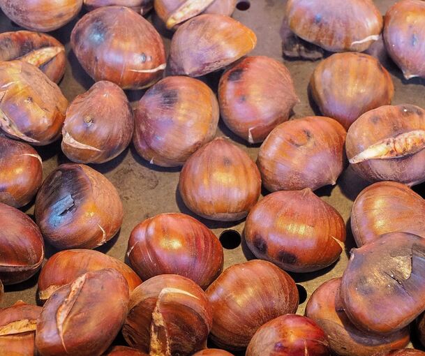 Als Snack eignen sich Maroni.