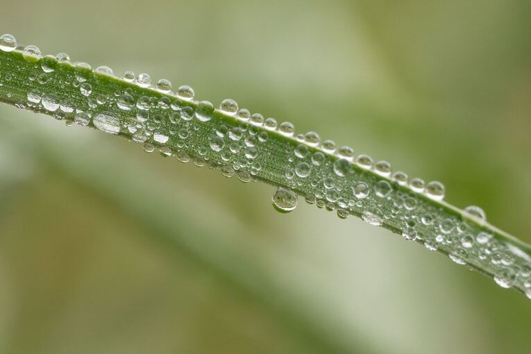 Wetter in Baden-Württemberg Wetter in Baden-Württemberg