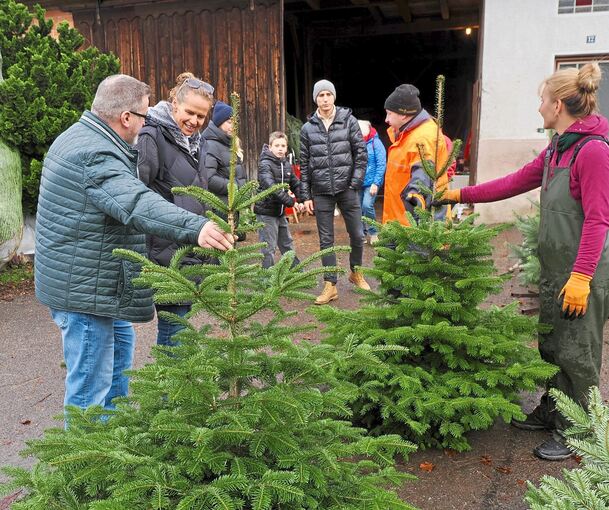 Welcher Baum soll es sein? Die Entscheidung ist manchmal gar nicht so einfach.