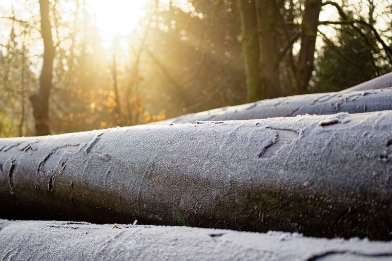 Wetter in Baden-Württemberg Wetter in Baden-Württemberg