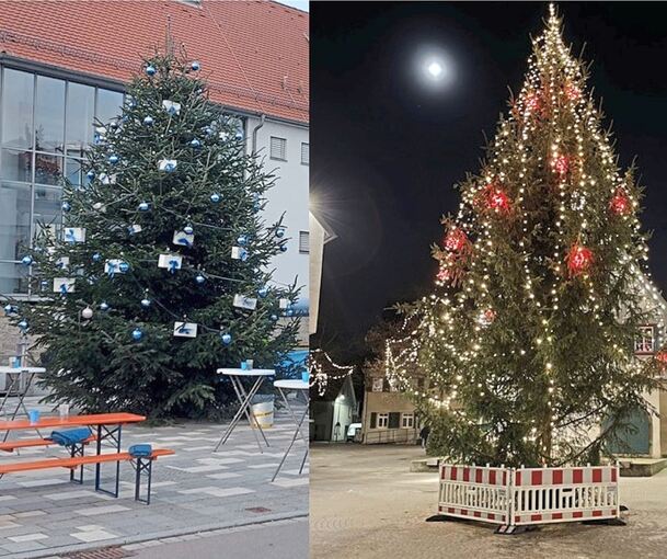 Welcher Baum ist schöner, der aus Sersheim (links) oder Ditzingen – oder ein anderer?