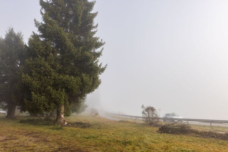 Polizist kommt bei Unfall mit Streifenwagen um Polizist kommt bei Unfall mit Streifenwagen um
