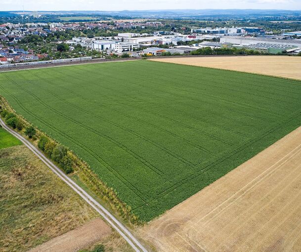 Der Schanzacker: Asperg und Tamm wollen seine Bebauung unbedingt verhindern.