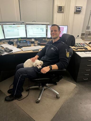 Malteser-Mischlings-Hündin bei der Polizei Malteser-Mischlings-Hündin bei der Polizei