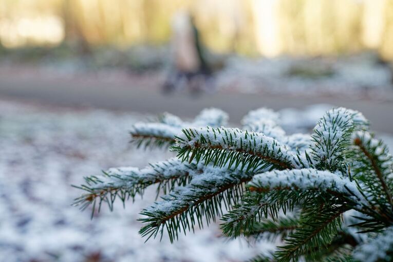 Wetter in Baden-Württemberg Wetter in Baden-Württemberg