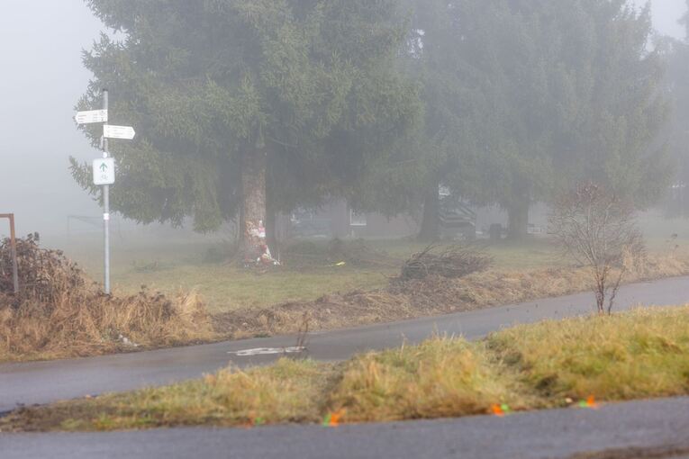 Polizist kommt bei Unfall mit Streifenwagen um Polizist kommt bei Unfall mit Streifenwagen um