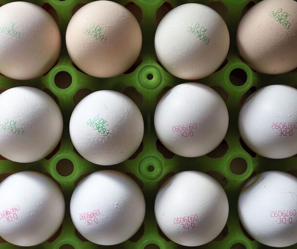 Die Polizei sucht Hinweise zu den Tätern - und weitere Betroffene. Die Polizei sucht Hinweise zu den Tätern - und weitere Betroffene.