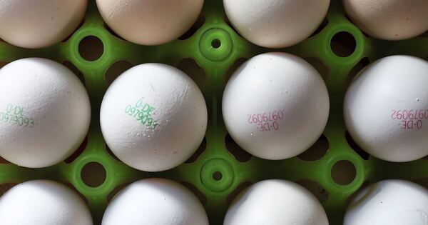 Eierwerfer-sind-in-M-glingen-unterwegs