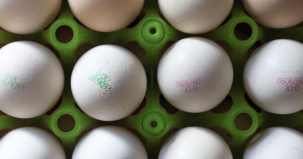 Die Polizei sucht Hinweise zu den Tätern - und weitere Betroffene.