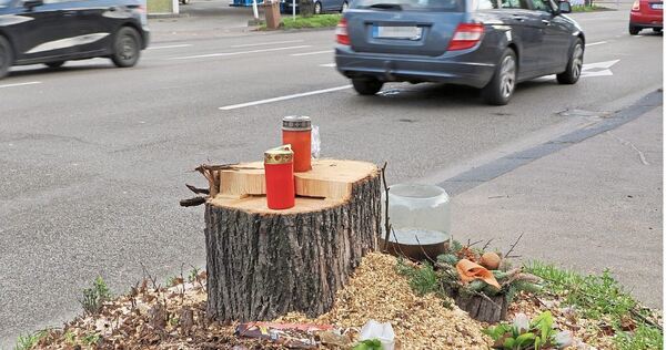 Abgesägt: Der Baum an der Unfallstelle, wo am 20. März zwei junge Frauen als Folge eines Autorennens starben, ist nun gefallen. Im Hintergrund die Aral-Tankstelle, an der ihr Kleinwagen erfasst wurde.