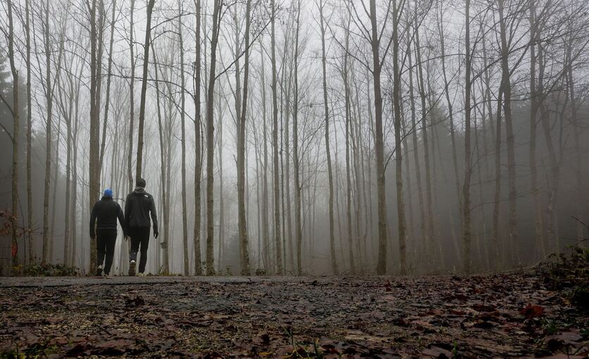 Wetter in Baden-Württemberg Wetter in Baden-Württemberg
