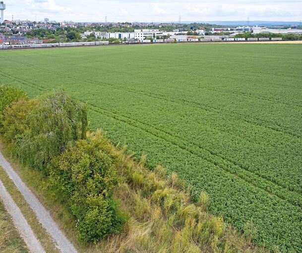 „Die Gefahr ist groß, dass, sobald der Fuß auf den Schanzacker gesetzt ist, anschließend eine massive Ausweitung erfolgt“, heißt es in dem Statement.“