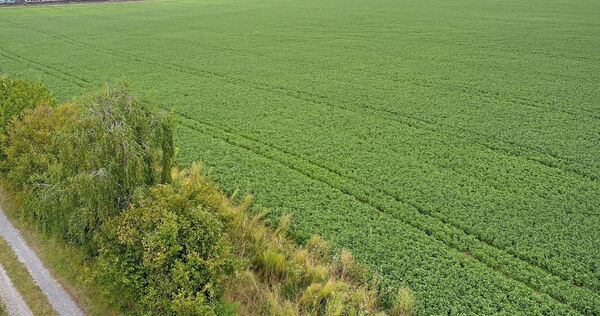 „Die Gefahr ist groß, dass, sobald der Fuß auf den Schanzacker gesetzt ist, anschließend eine massive Ausweitung erfolgt“, heißt es in dem Statement.“