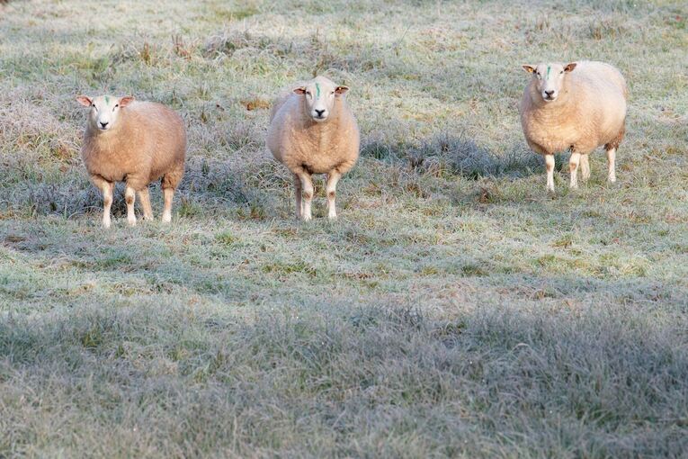Wetter in Baden-Württemberg