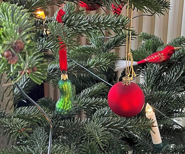 Immer öfter hängen Gurken in Bäumen.