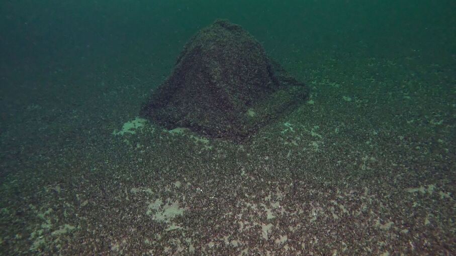 Gin-Kugel im Bodensee gefunden