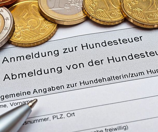 In Benningen wird die Hundesteuer erhöht.