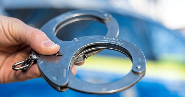 Gewalt-und-Sachbesch-digung-in-der-S-Bahn-von-Tamm-nach-Feuerbach